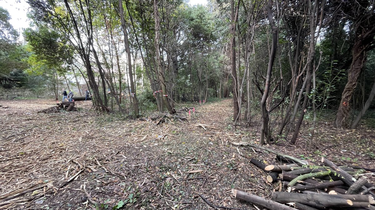 Lancement des travaux du parc urbain Jacques-Chirac à Nîmes le 8 novembre 2025 (Photo Anthony Maurin)