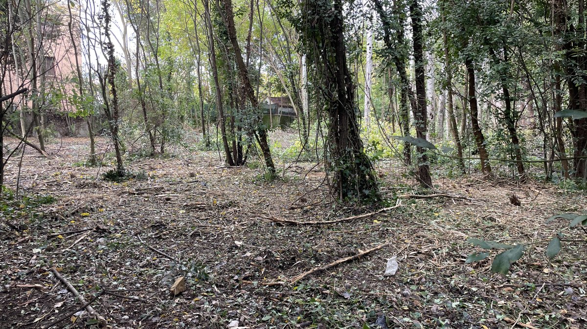 Lancement des travaux du parc urbain Jacques-Chirac à Nîmes le 8 novembre 2025 (Photo Anthony Maurin)