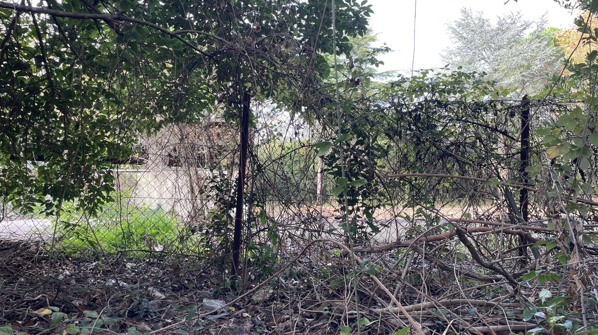 Lancement des travaux du parc urbain Jacques-Chirac à Nîmes le 8 novembre 2025 (Photo Anthony Maurin)