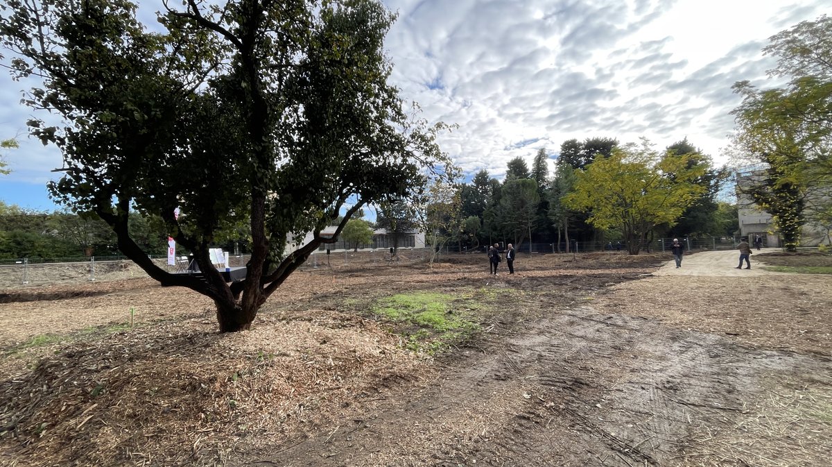 Lancement des travaux du parc urbain Jacques-Chirac à Nîmes le 8 novembre 2025 (Photo Anthony Maurin)