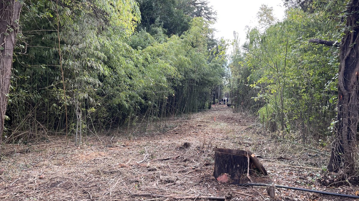 Lancement des travaux du parc urbain Jacques-Chirac à Nîmes le 8 novembre 2025 (Photo Anthony Maurin)