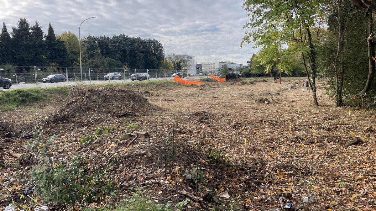 Lancement des travaux du parc urbain Jacques-Chirac à Nîmes le 8 novembre 2025 (Photo Anthony Maurin)