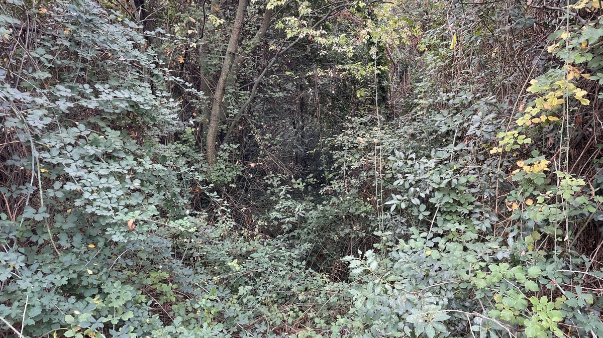 Lancement des travaux du parc urbain Jacques-Chirac à Nîmes le 8 novembre 2025 (Photo Anthony Maurin)