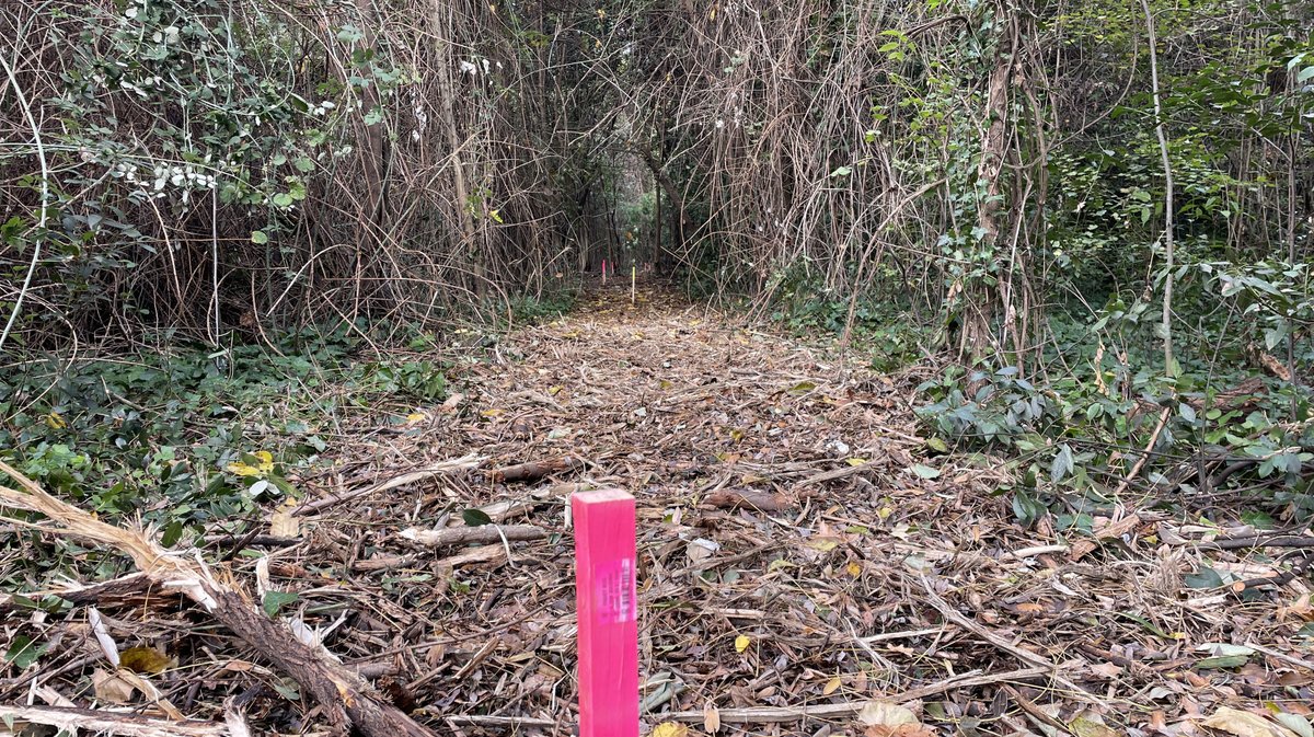 Lancement des travaux du parc urbain Jacques-Chirac à Nîmes le 8 novembre 2025 (Photo Anthony Maurin)