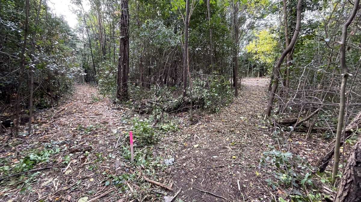 Lancement des travaux du parc urbain Jacques-Chirac à Nîmes le 8 novembre 2025 (Photo Anthony Maurin)
