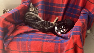 Refuge de Bellegarde