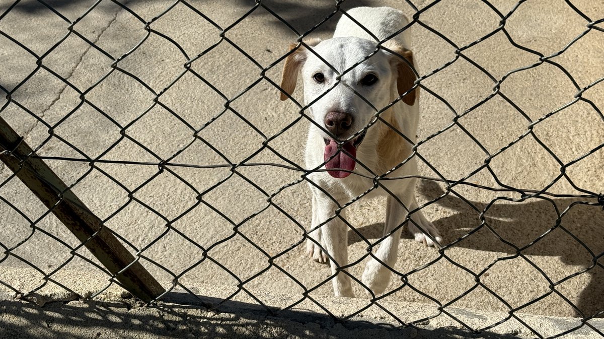 Refuge de Bellegarde