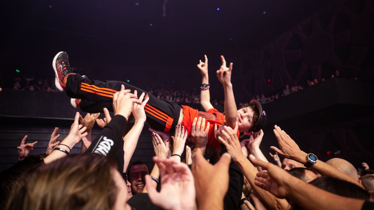 Paloma ultra vomit (yp)