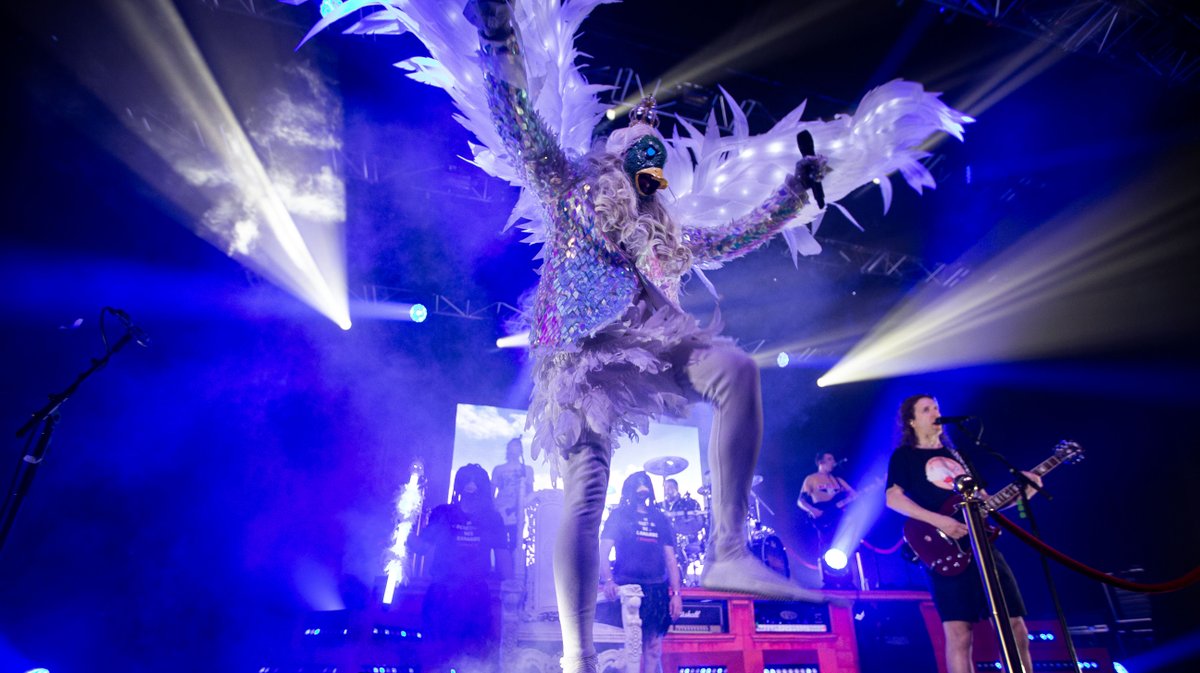 Paloma ultra vomit (yp)