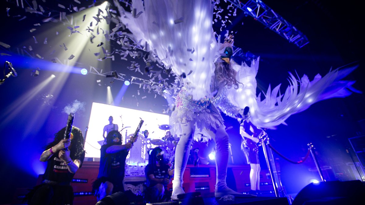 Paloma ultra vomit (yp)