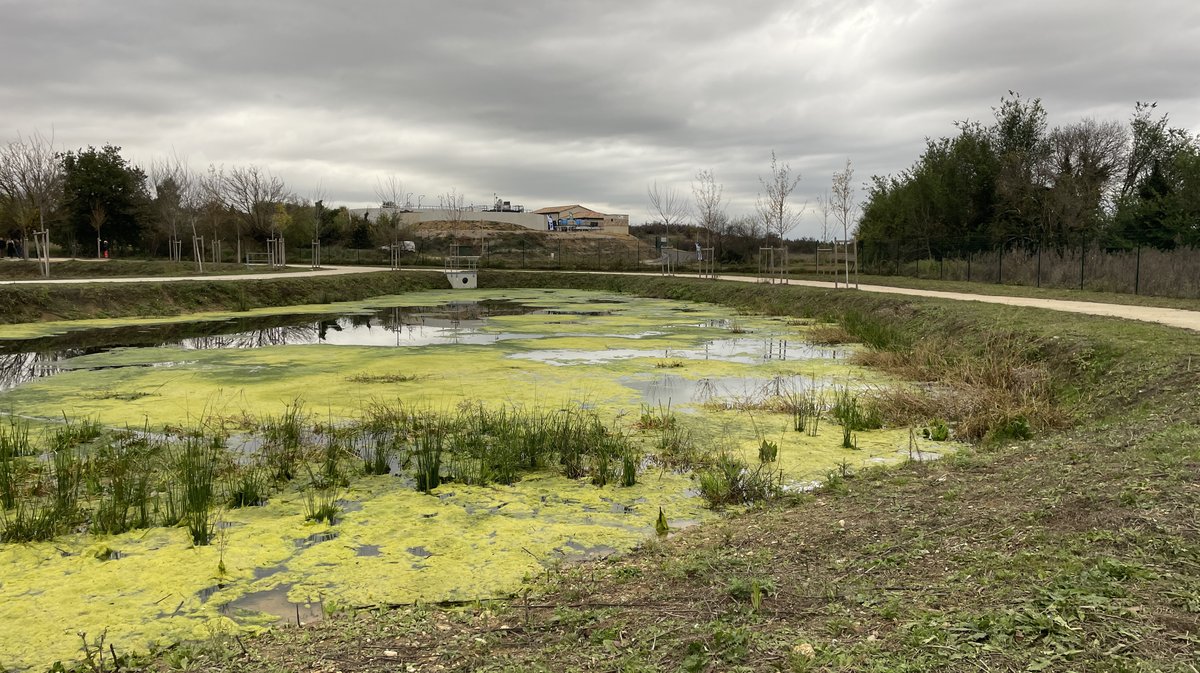 Inauguration de la station de traitement des eaux usées (STEU) de la Haute Braune à Gajan (Photo Anthony Maurin)