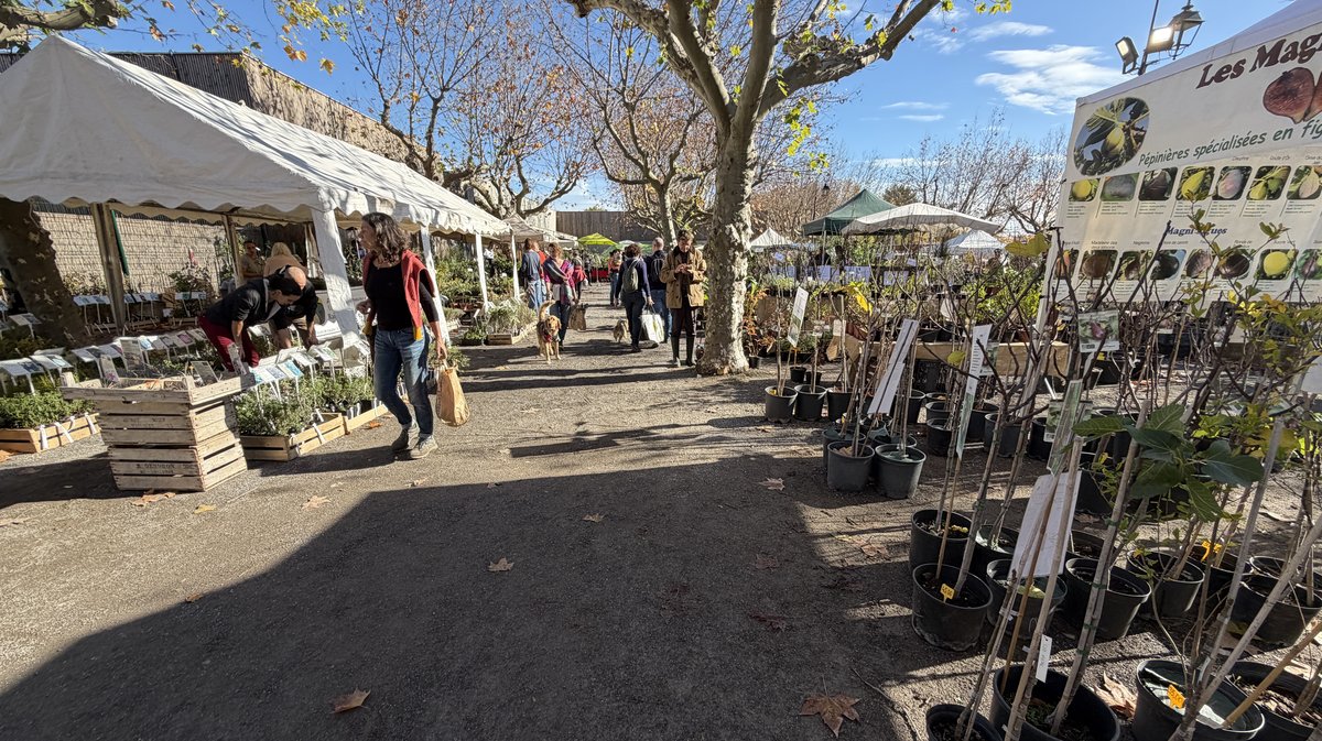 édition 2025 des Journées de l’Arbre, de la Plante et du Fruit