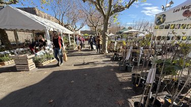 édition 2025 des Journées de l’Arbre, de la Plante et du Fruit