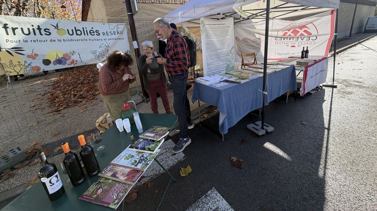 édition 2025 des Journées de l’Arbre, de la Plante et du Fruit