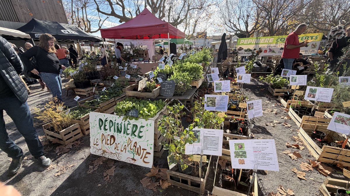 édition 2025 des Journées de l’Arbre, de la Plante et du Fruit