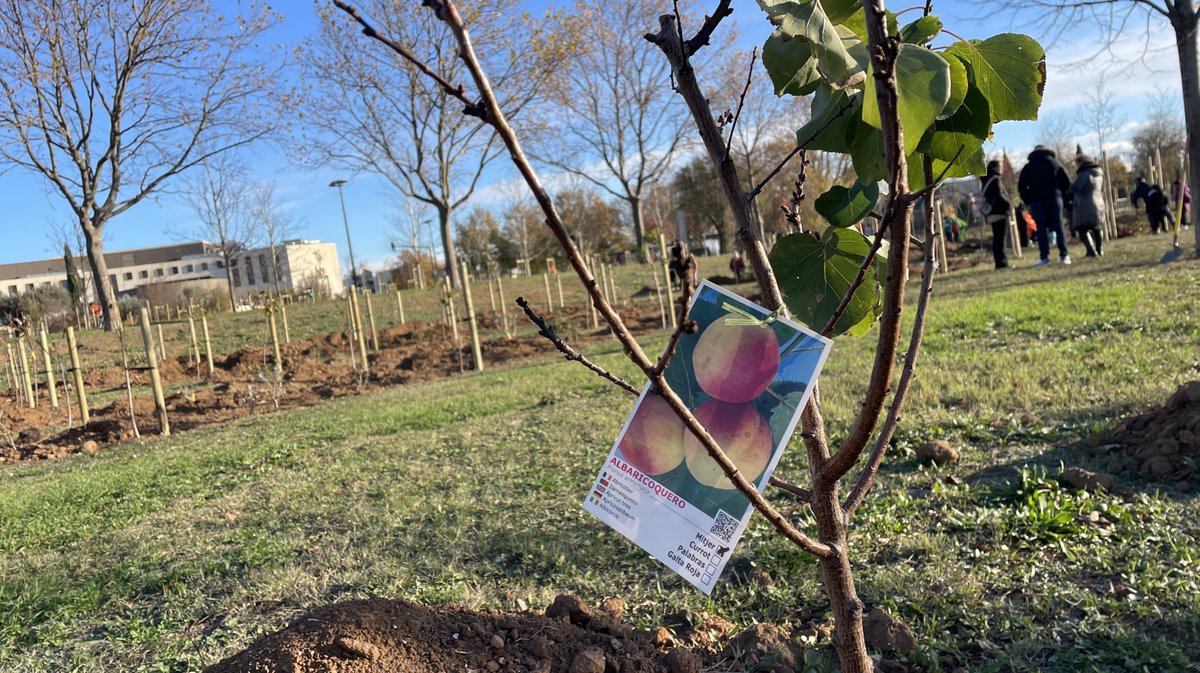Forêt des enfants Colisée Nemausa Nîmes 2025 (Photo Anthony Maurin)