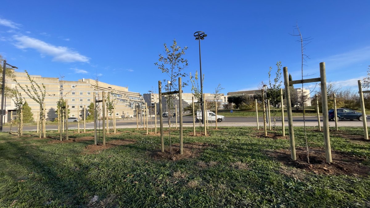 Forêt des enfants Colisée Nemausa Nîmes 2025 (Photo Anthony Maurin)