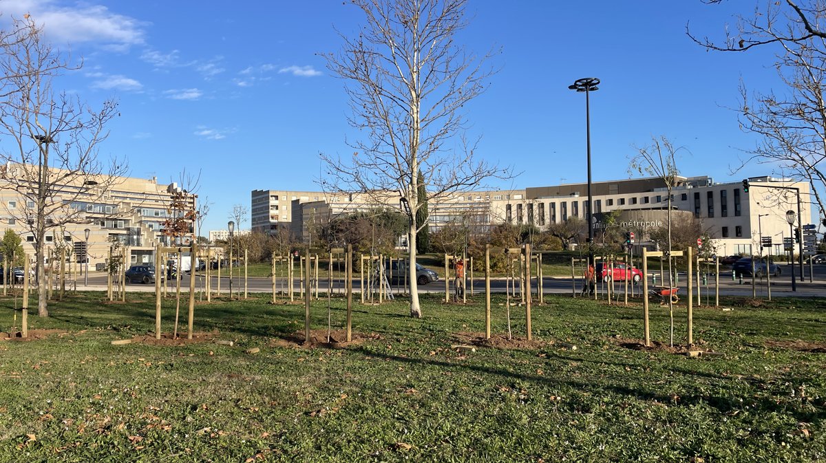 Forêt des enfants Colisée Nemausa Nîmes 2025 (Photo Anthony Maurin)