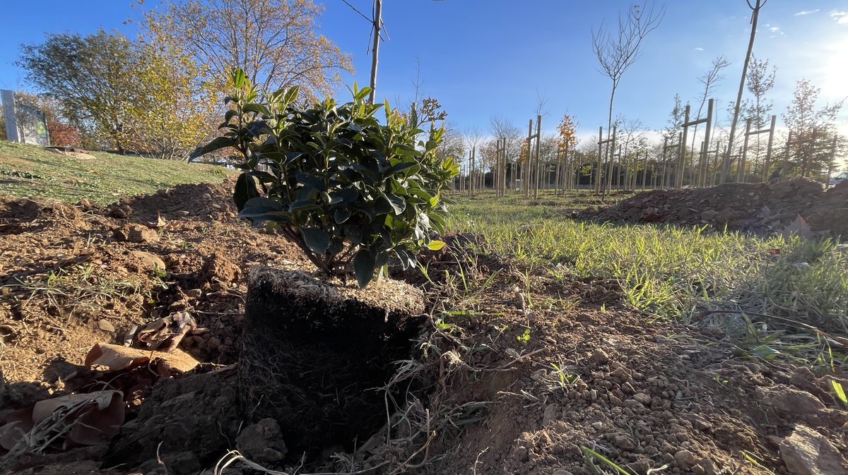 Forêt des enfants Colisée Nemausa Nîmes 2025 (Photo Anthony Maurin)