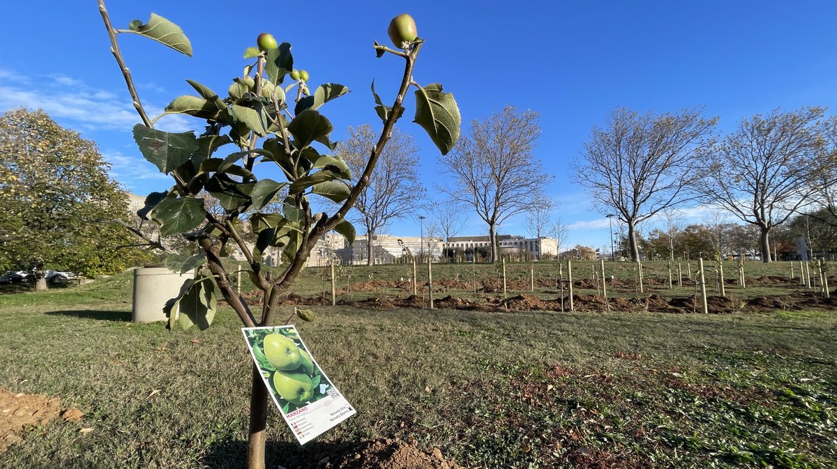 Forêt des enfants Colisée Nemausa Nîmes 2025 (Photo Anthony Maurin)
