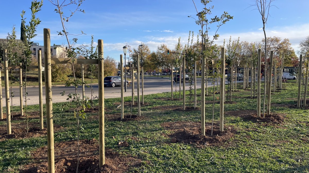 Forêt des enfants Colisée Nemausa Nîmes 2025 (Photo Anthony Maurin)