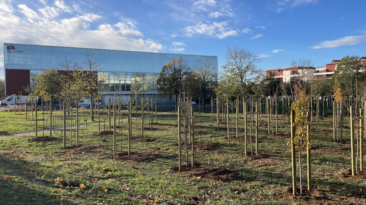 Forêt des enfants Colisée Nemausa Nîmes 2025 (Photo Anthony Maurin)