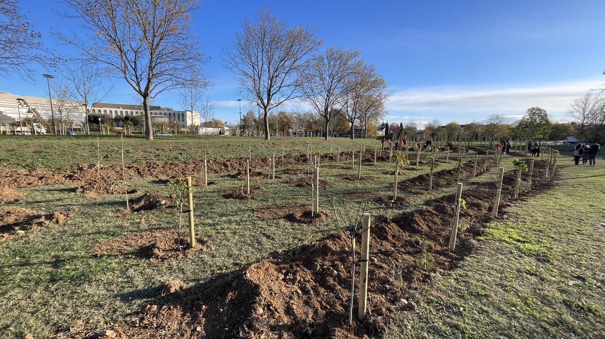 Forêt des enfants Colisée Nemausa Nîmes 2025 (Photo Anthony Maurin)