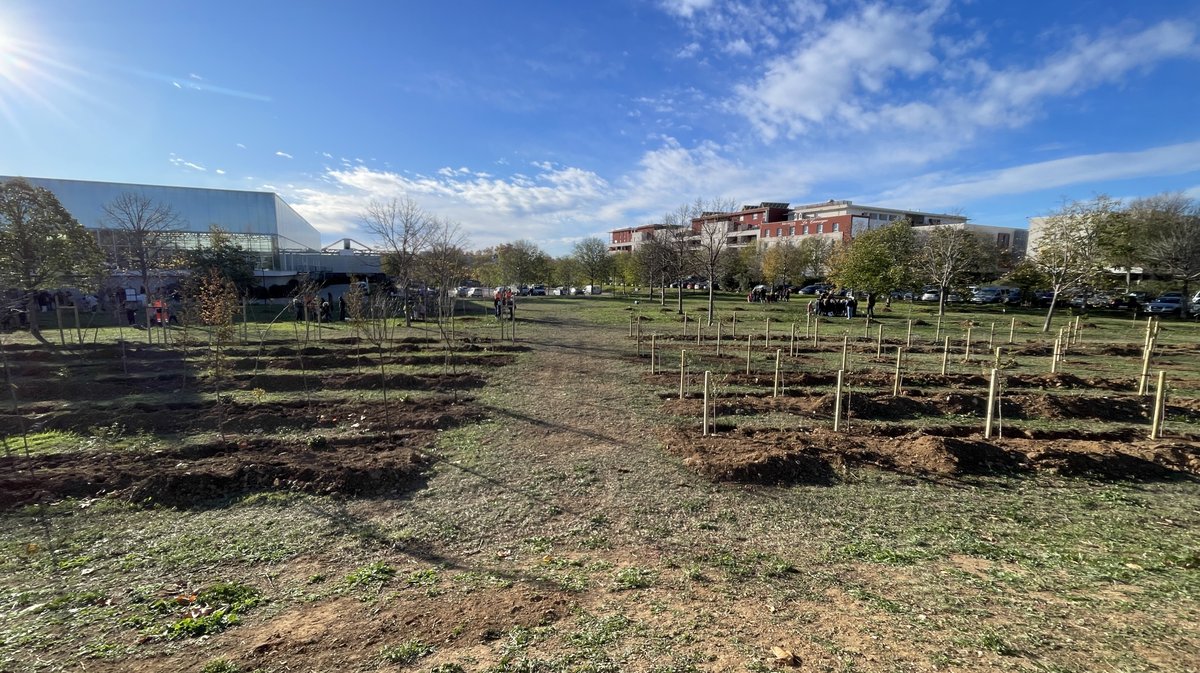 Forêt des enfants Colisée Nemausa Nîmes 2025 (Photo Anthony Maurin)