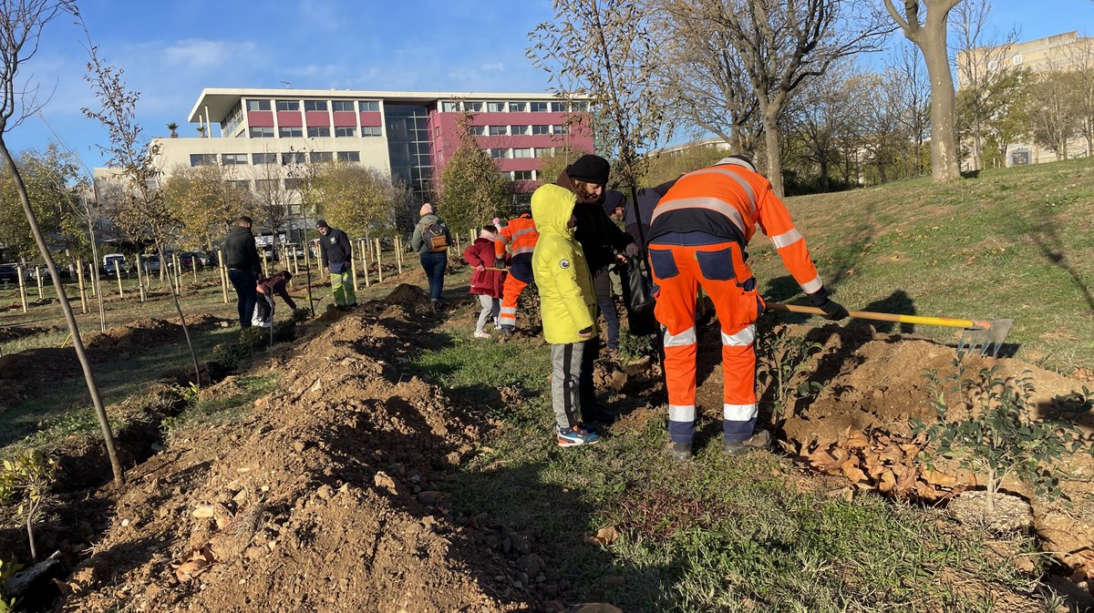Forêt des enfants Colisée Nemausa Nîmes 2025 (Photo Anthony Maurin)
