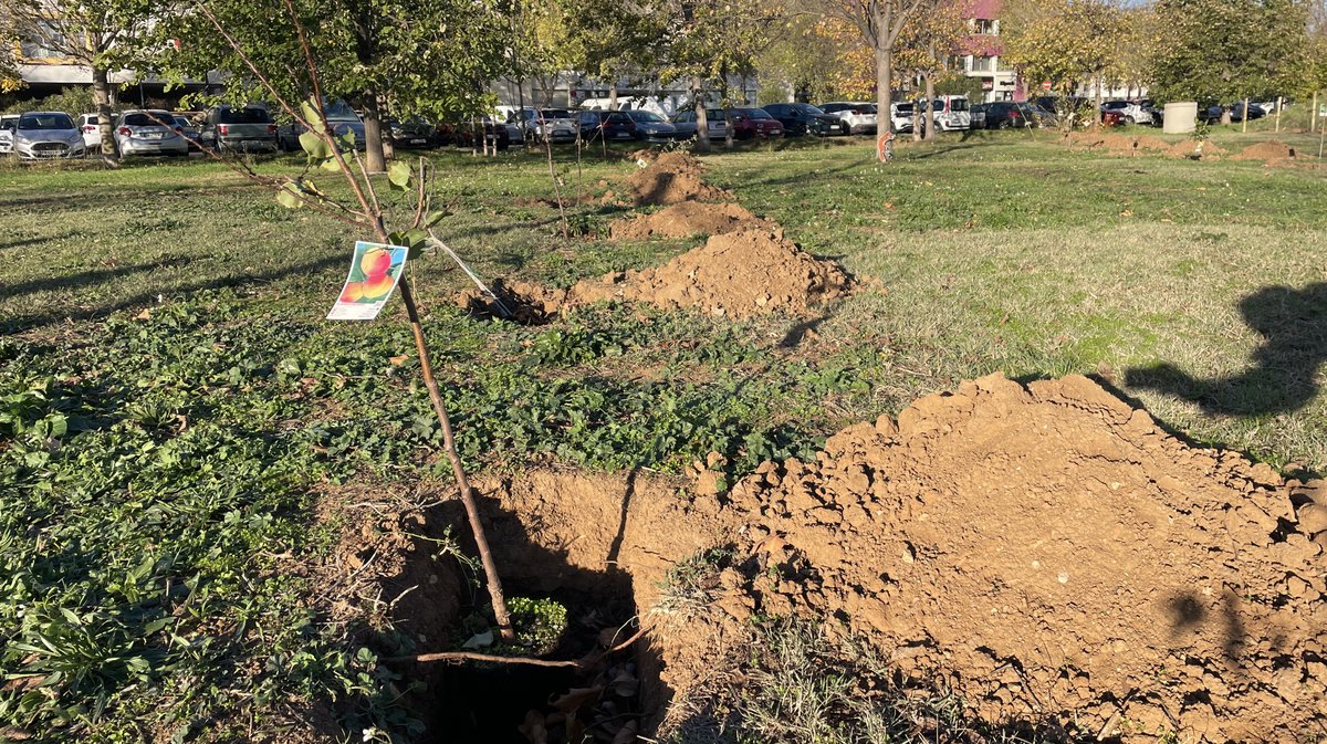 Forêt des enfants Colisée Nemausa Nîmes 2025 (Photo Anthony Maurin)