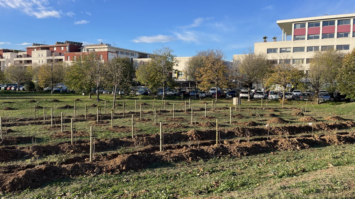Forêt des enfants Colisée Nemausa Nîmes 2025 (Photo Anthony Maurin)