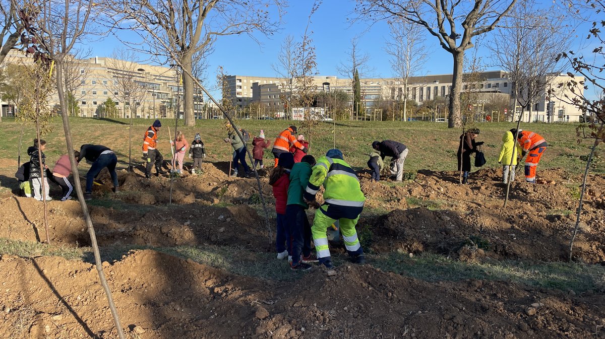 Forêt des enfants Colisée Nemausa Nîmes 2025 (Photo Anthony Maurin)