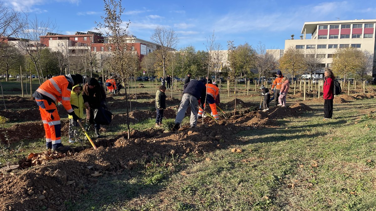 Forêt des enfants Colisée Nemausa Nîmes 2025 (Photo Anthony Maurin)