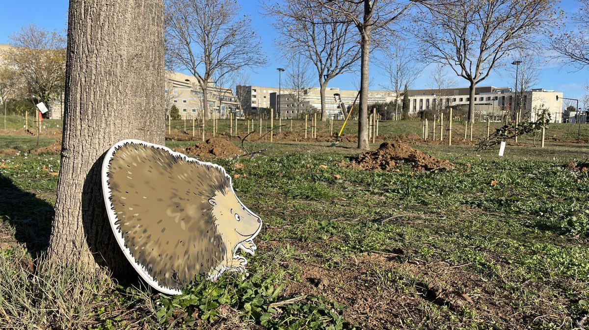 Forêt des enfants Colisée Nemausa Nîmes 2025 (Photo Anthony Maurin)
