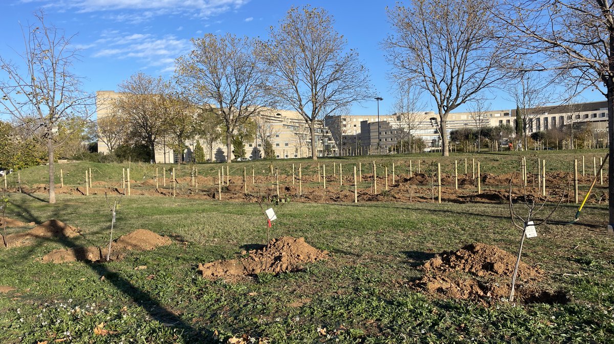Forêt des enfants Colisée Nemausa Nîmes 2025 (Photo Anthony Maurin)