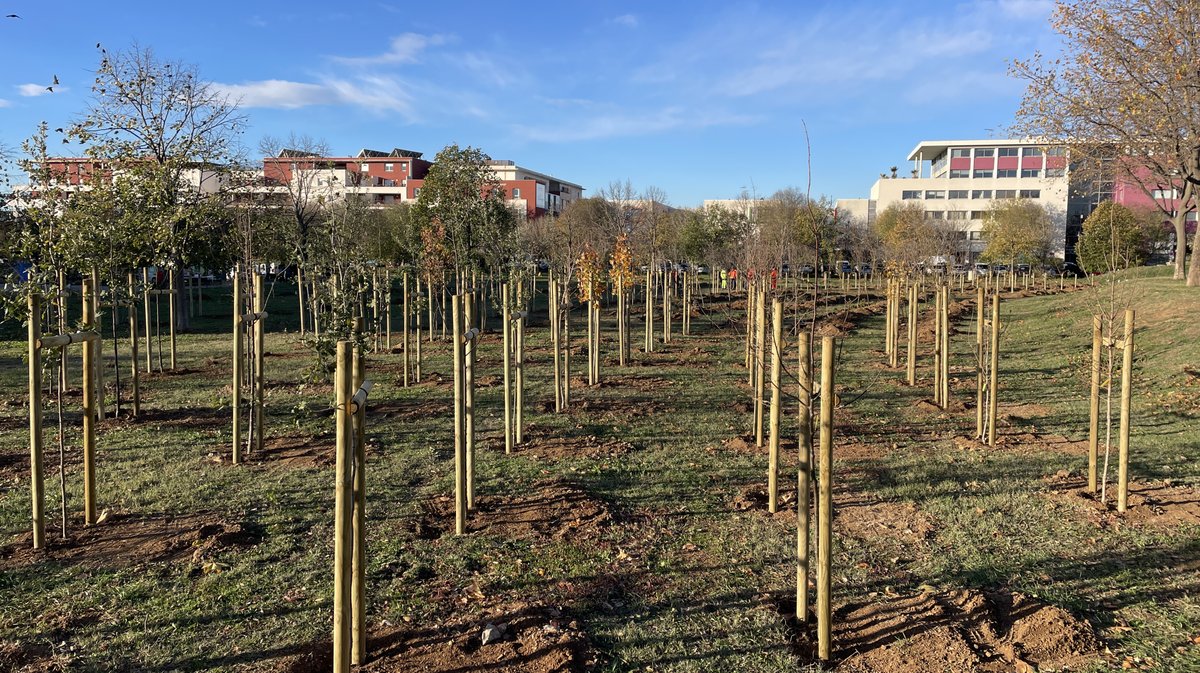 Forêt des enfants Colisée Nemausa Nîmes 2025 (Photo Anthony Maurin)