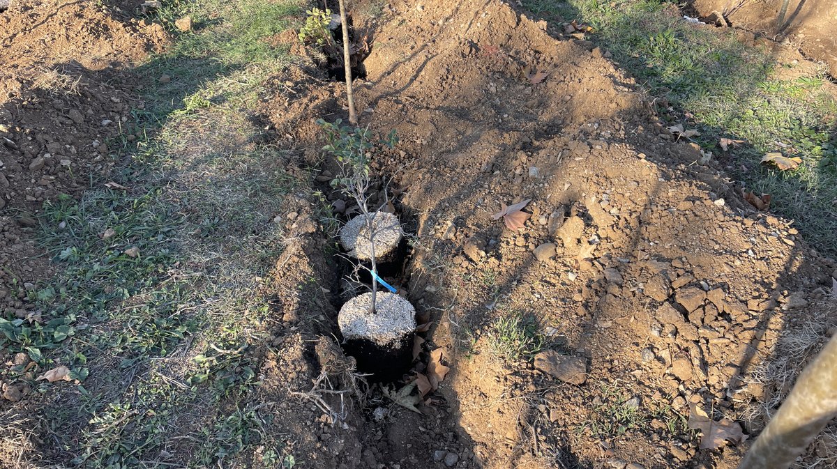 Forêt des enfants Colisée Nemausa Nîmes 2025 (Photo Anthony Maurin)
