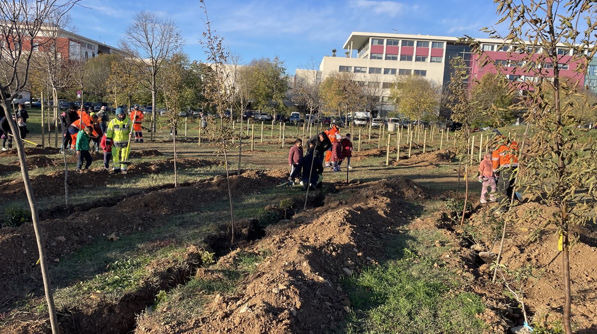 Forêt des enfants Colisée Nemausa Nîmes 2025 (Photo Anthony Maurin)