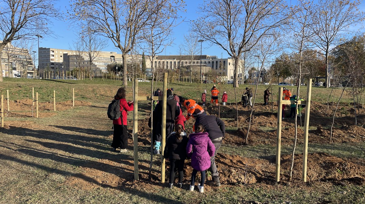Forêt des enfants Colisée Nemausa Nîmes 2025 (Photo Anthony Maurin)