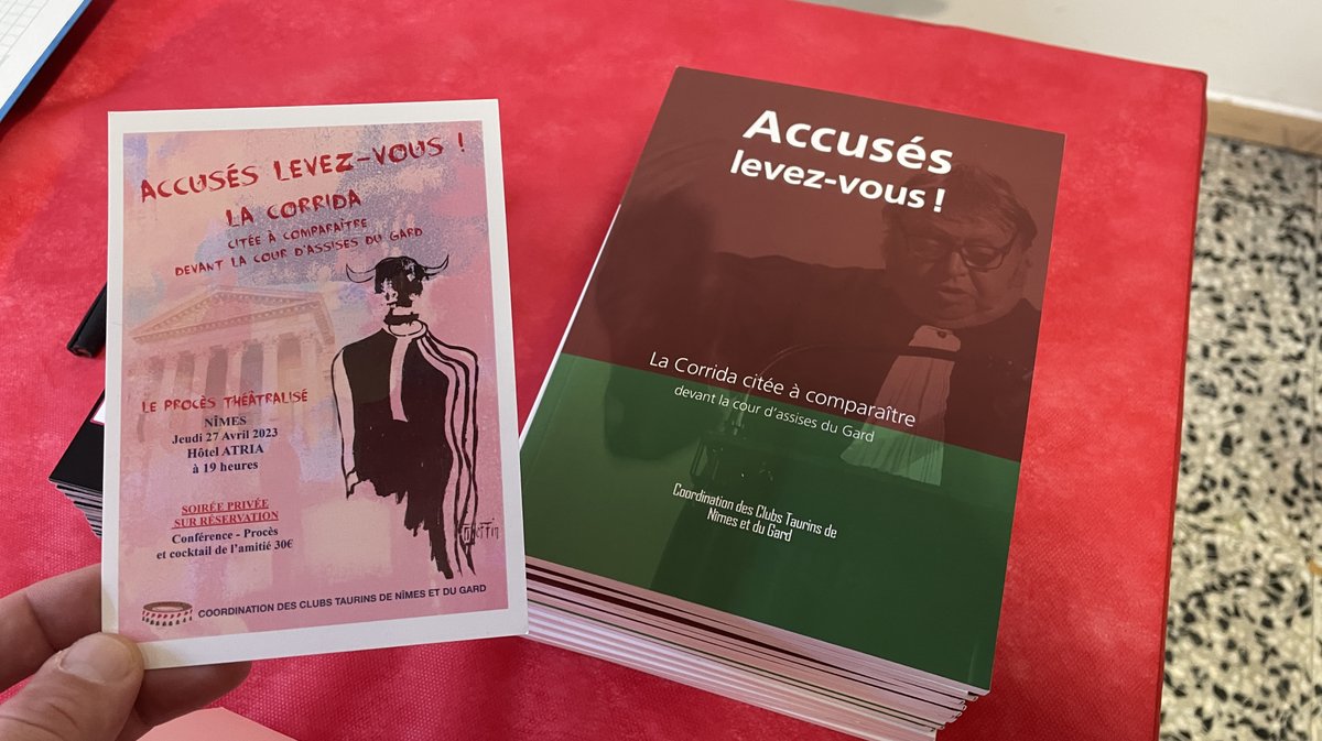 Festival livre taurin Nîmes 2025 (Photo Anthony Maurin)