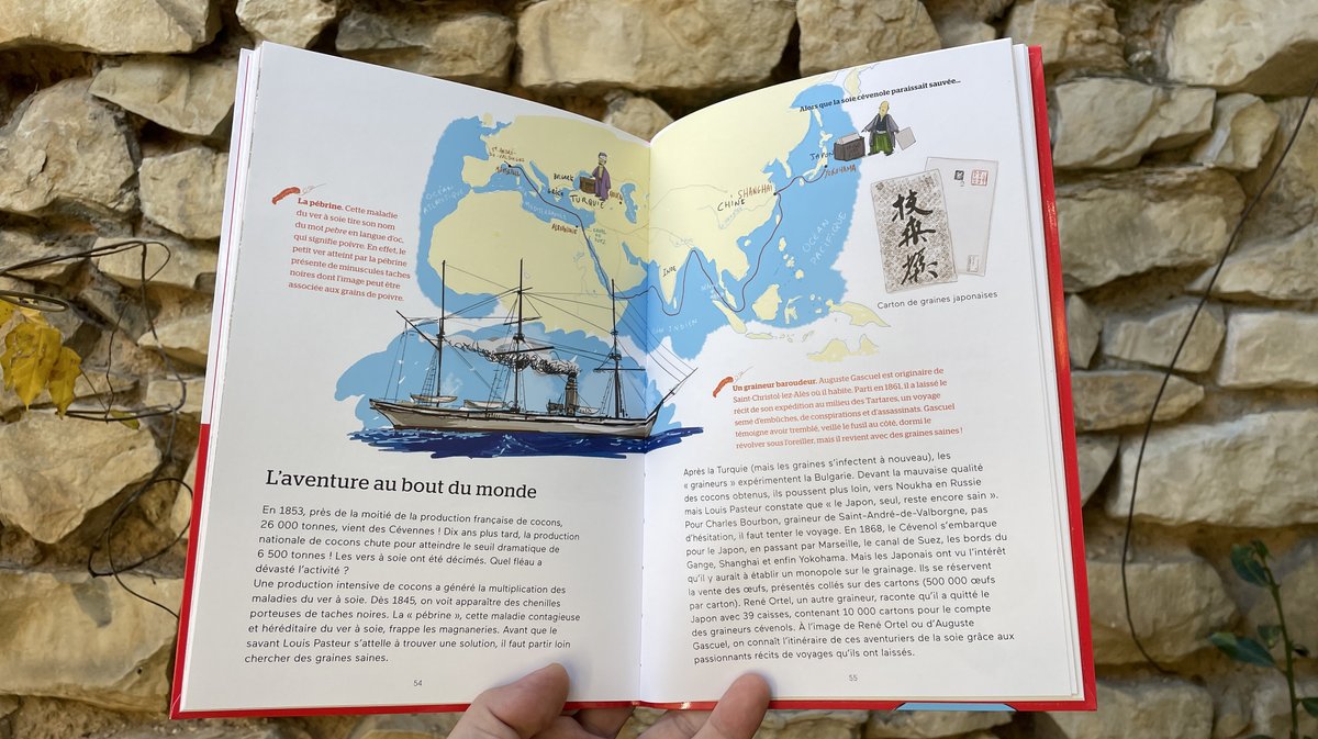 Alcide novembre 2025 Yann Cruvellier (Photo Anthony Maurin)