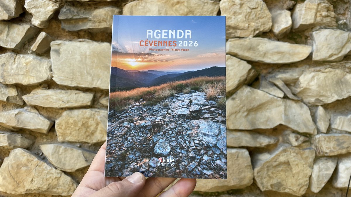 Alcide novembre 2025 Yann Cruvellier (Photo Anthony Maurin)