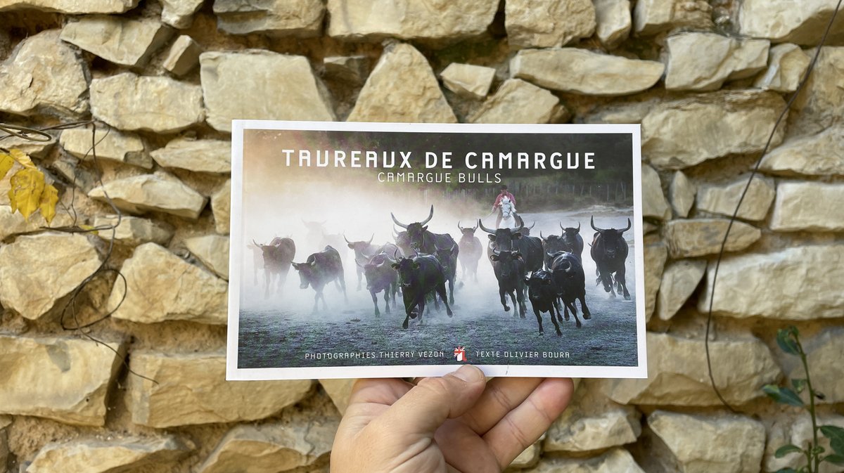 Alcide novembre 2025 Yann Cruvellier (Photo Anthony Maurin)IMG_7930.jpg