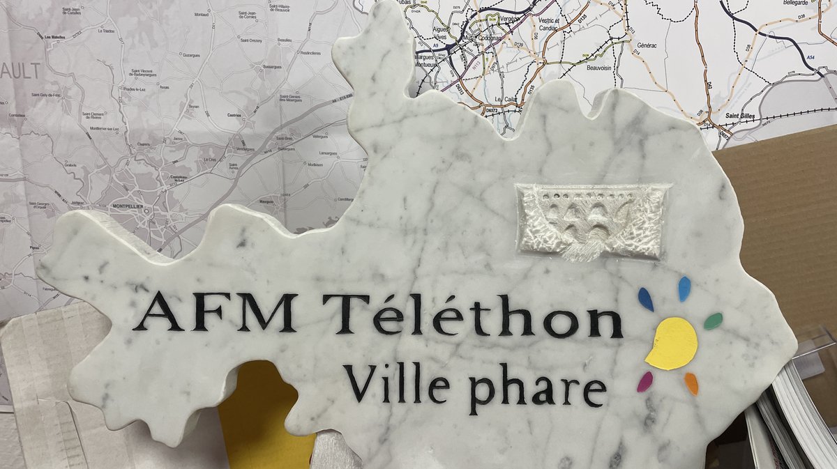 Téléthon 2025 (Photo Anthony Maurin)