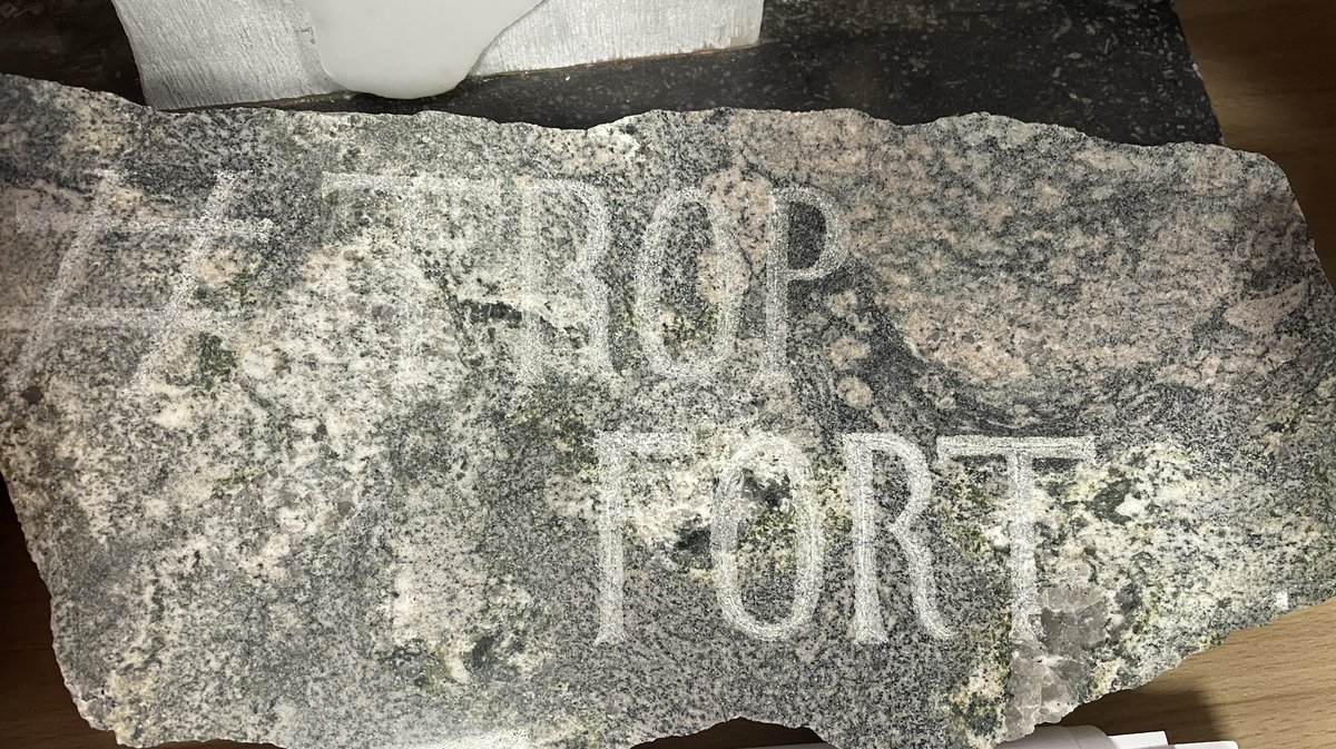 Téléthon 2025 (Photo Anthony Maurin)