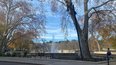 platanes jardins de la fontaine