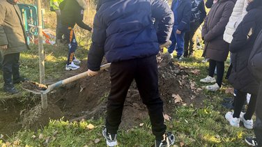 Une classe un arbre Bagnols/Cèze