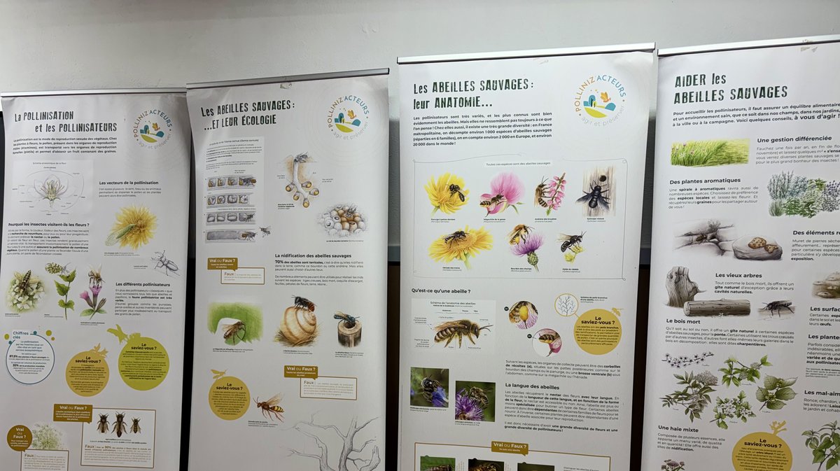 Bien vivre avec les abeilles Saint-Alexandre