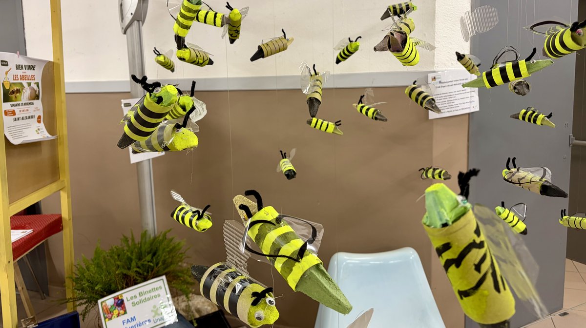 Bien vivre avec les abeilles Saint-Alexandre