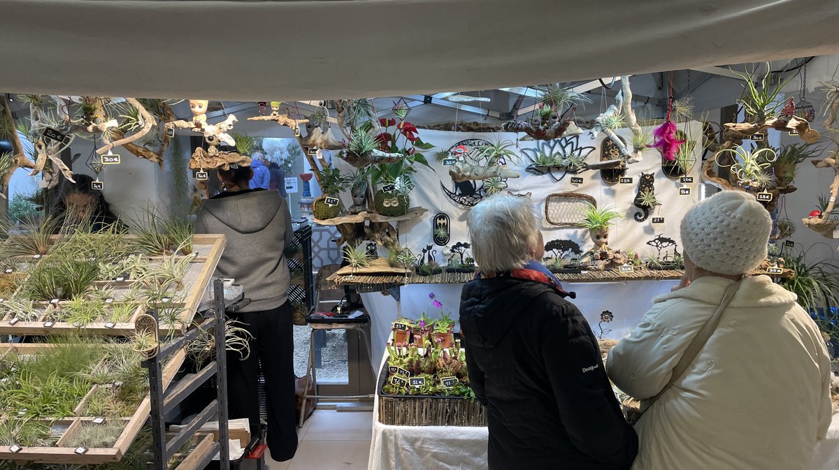 Marché de Noël CCAS Nîmes (Photo Anthony Maurin)